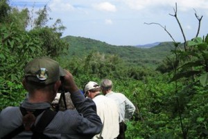 rwanda-safari