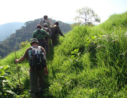 virunga-hike-gorilla-tracking