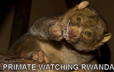 primate-watching-rwanda