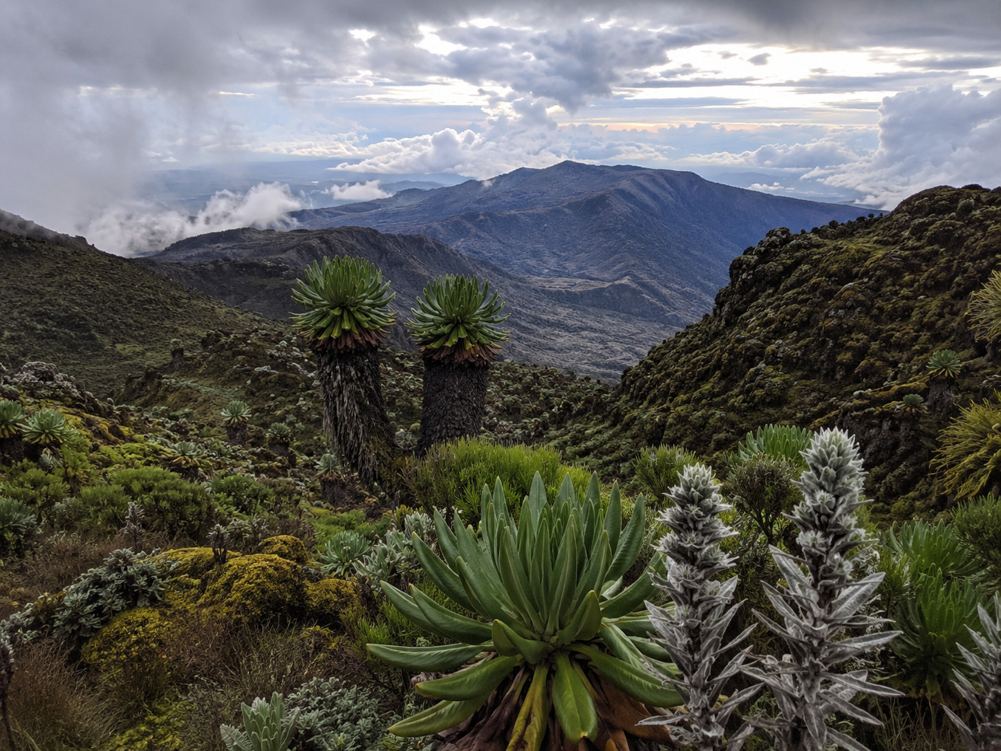 Hiking Mount Elgon to Wagagai Peak