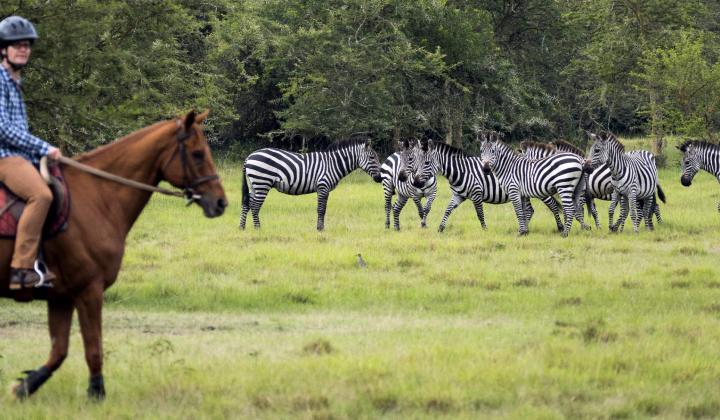 Horseback Riding in Lake Mburo