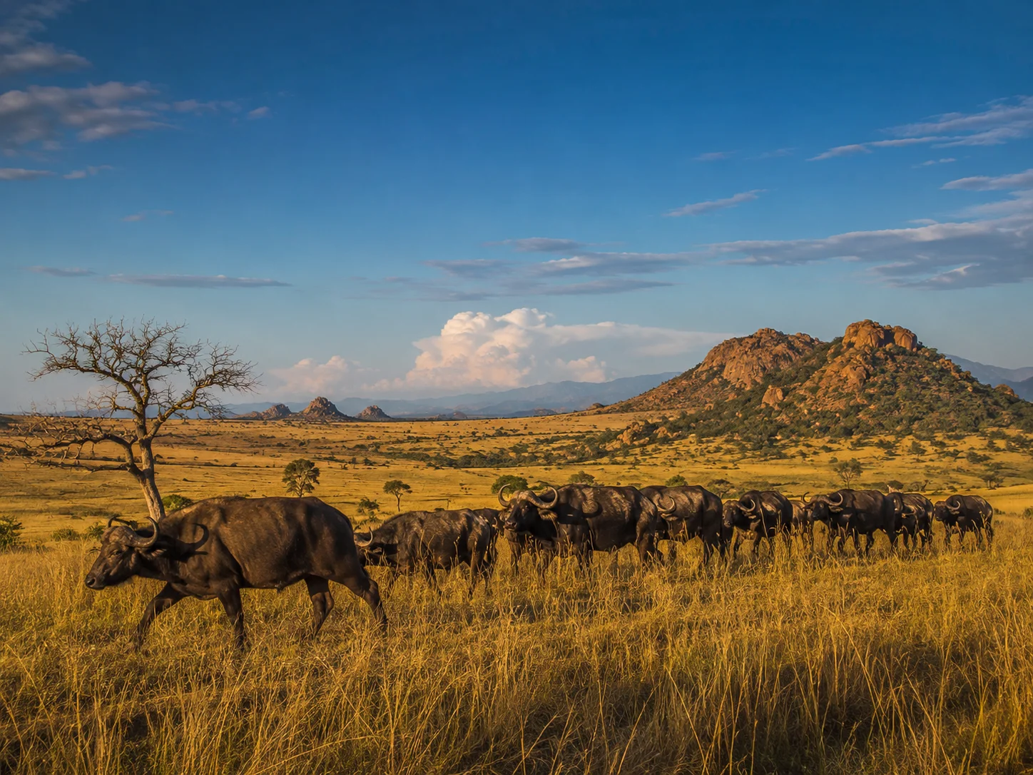 Kidepo Valley National Park