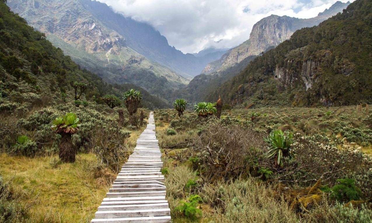 Kilembe Trail Rwenzori Trekking Route