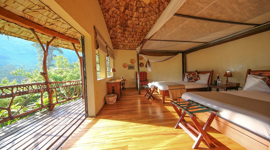 Mahogany Springs in Bwindi