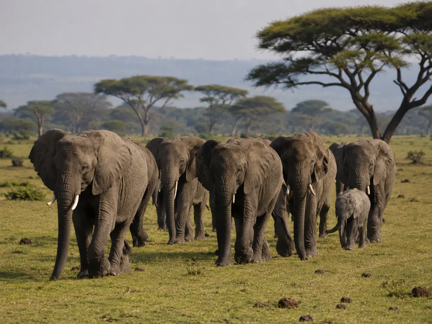 Queen Elizabeth National Park Uganda