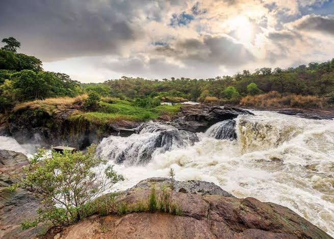 top of the falls murchison