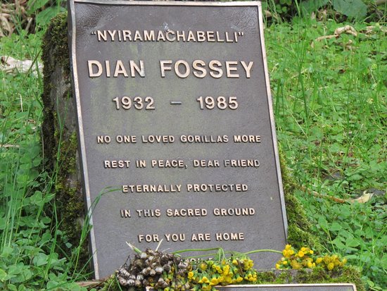 Dian fossey tombs trek in Volcanoes national park