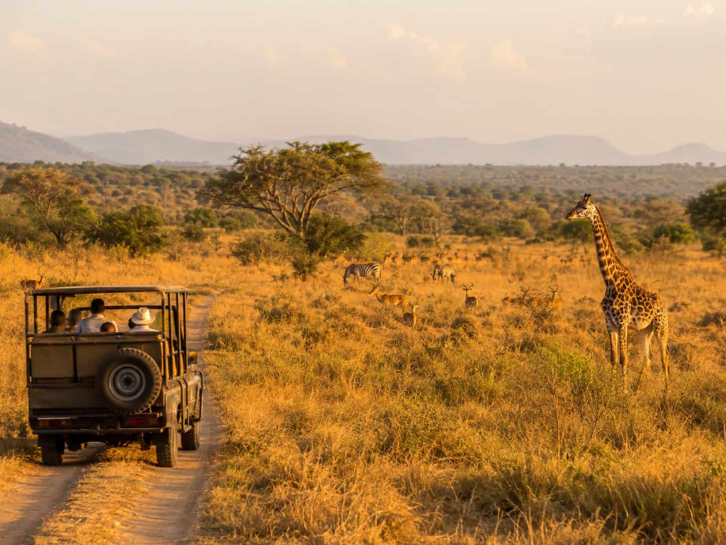 Akagera National Park, Rwanda game drives 
