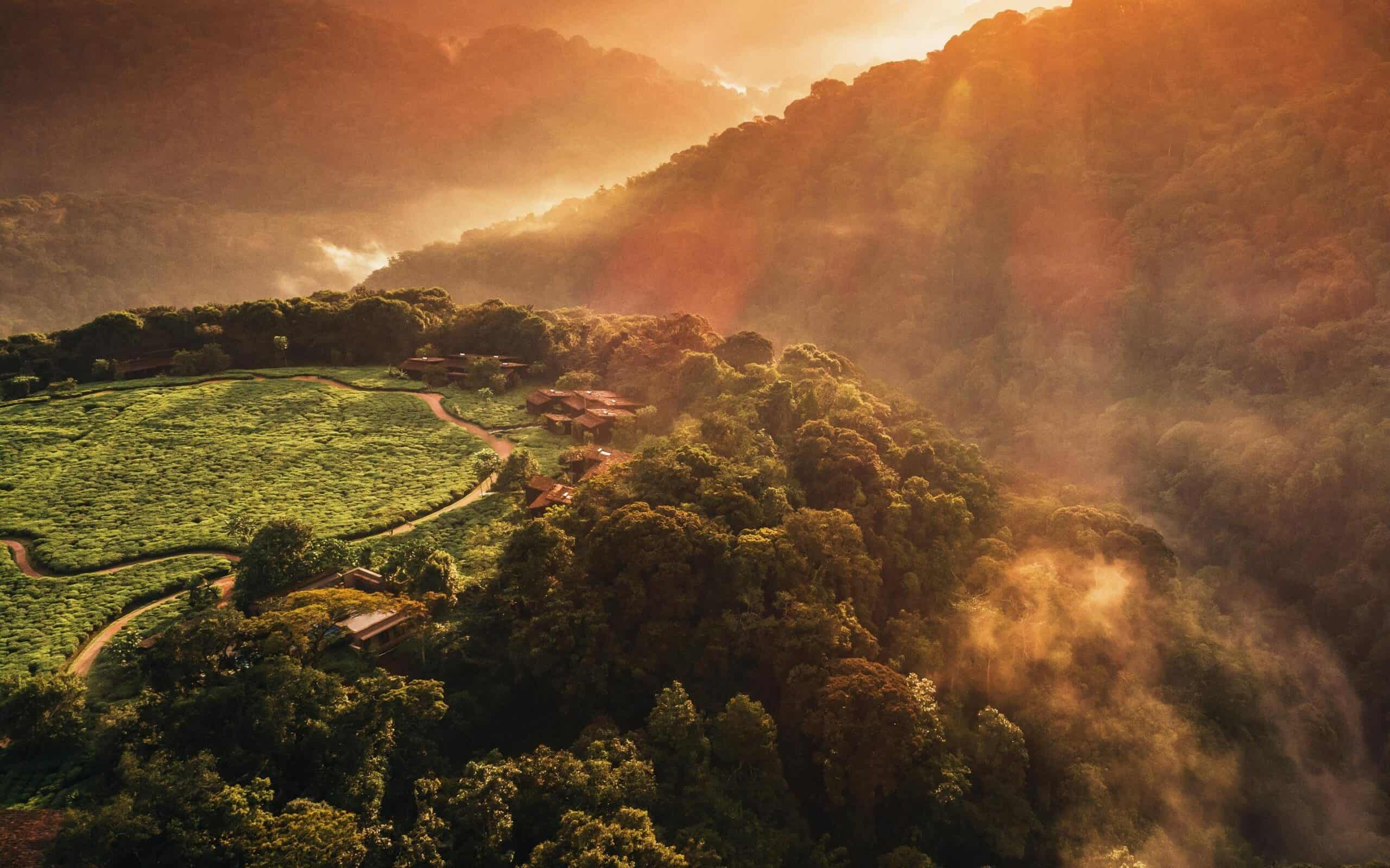 Best Time to Visit Nyungwe National Park
