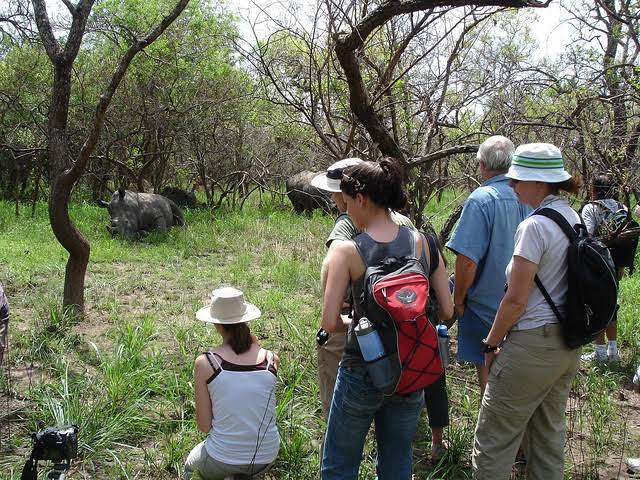 Ziwa Rhino Tracking