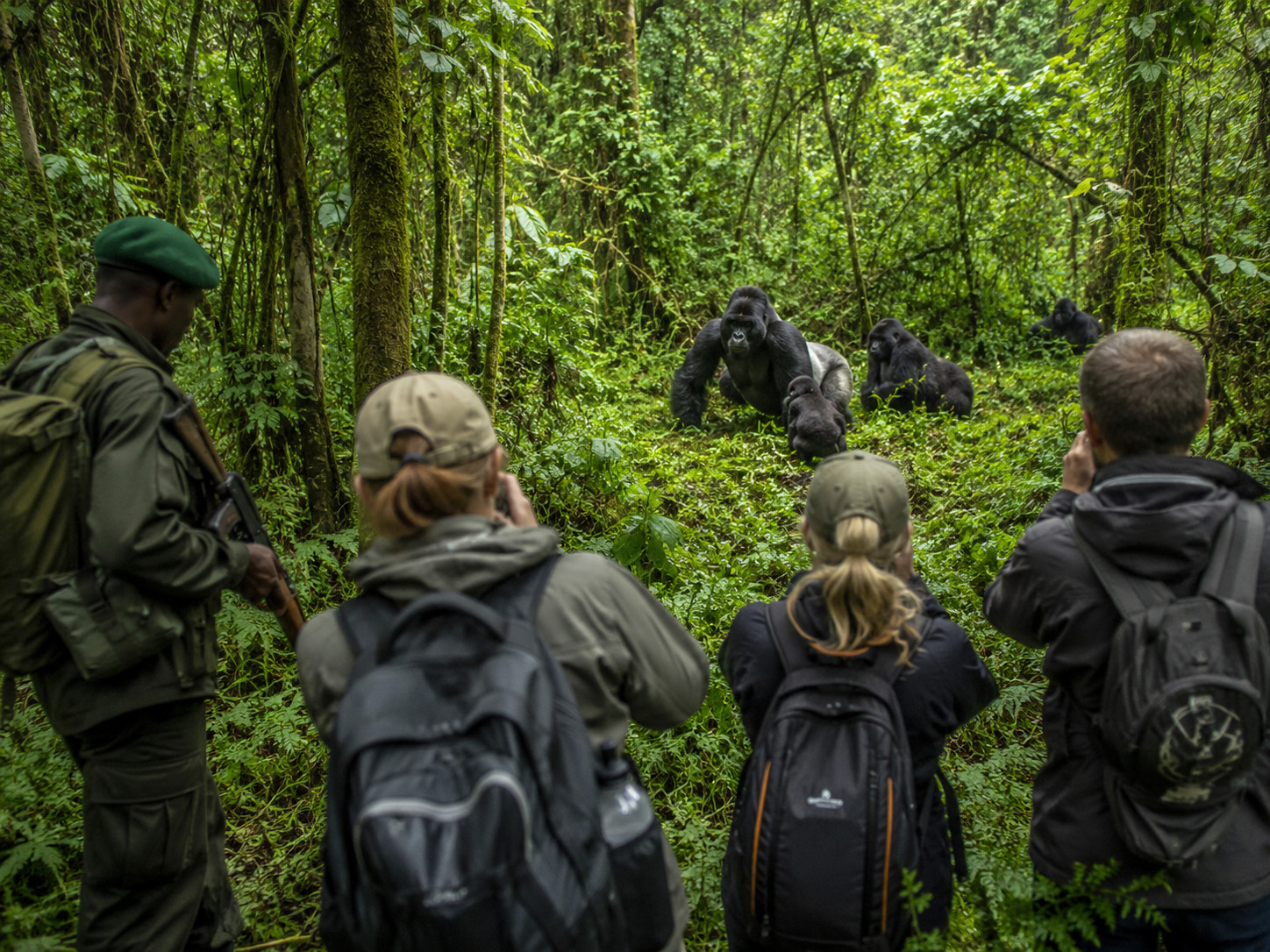 bwindi gorilla trekking