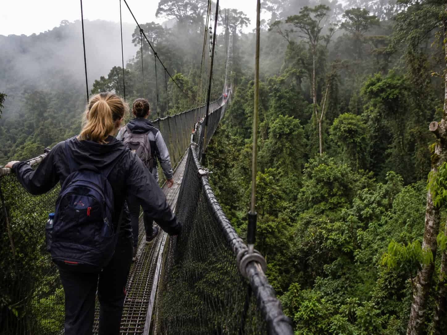 nyungwe canopy walk